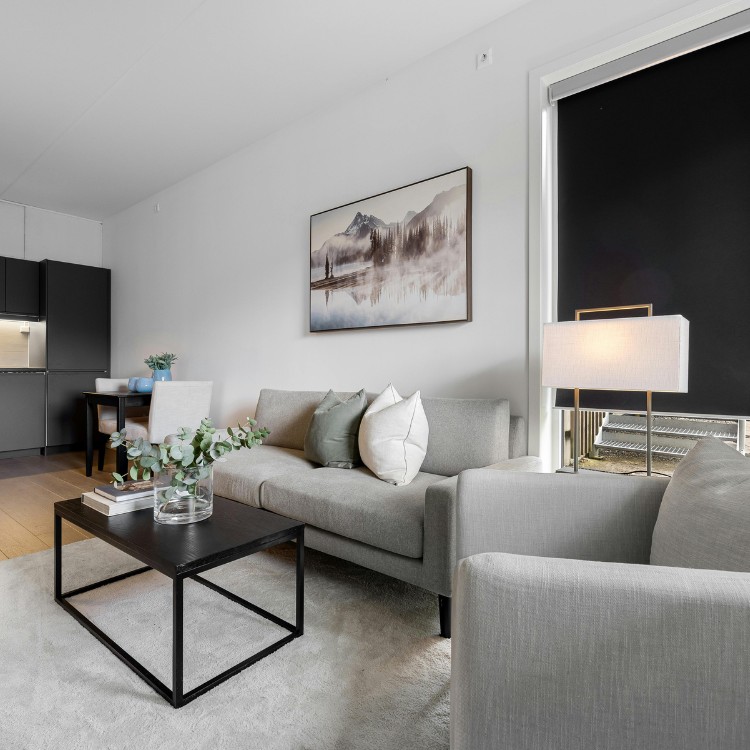 Junk Removal in Austin, TX